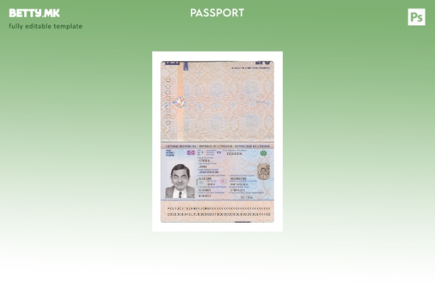 модерен стил Литвански пасош нов сегашен шаблон